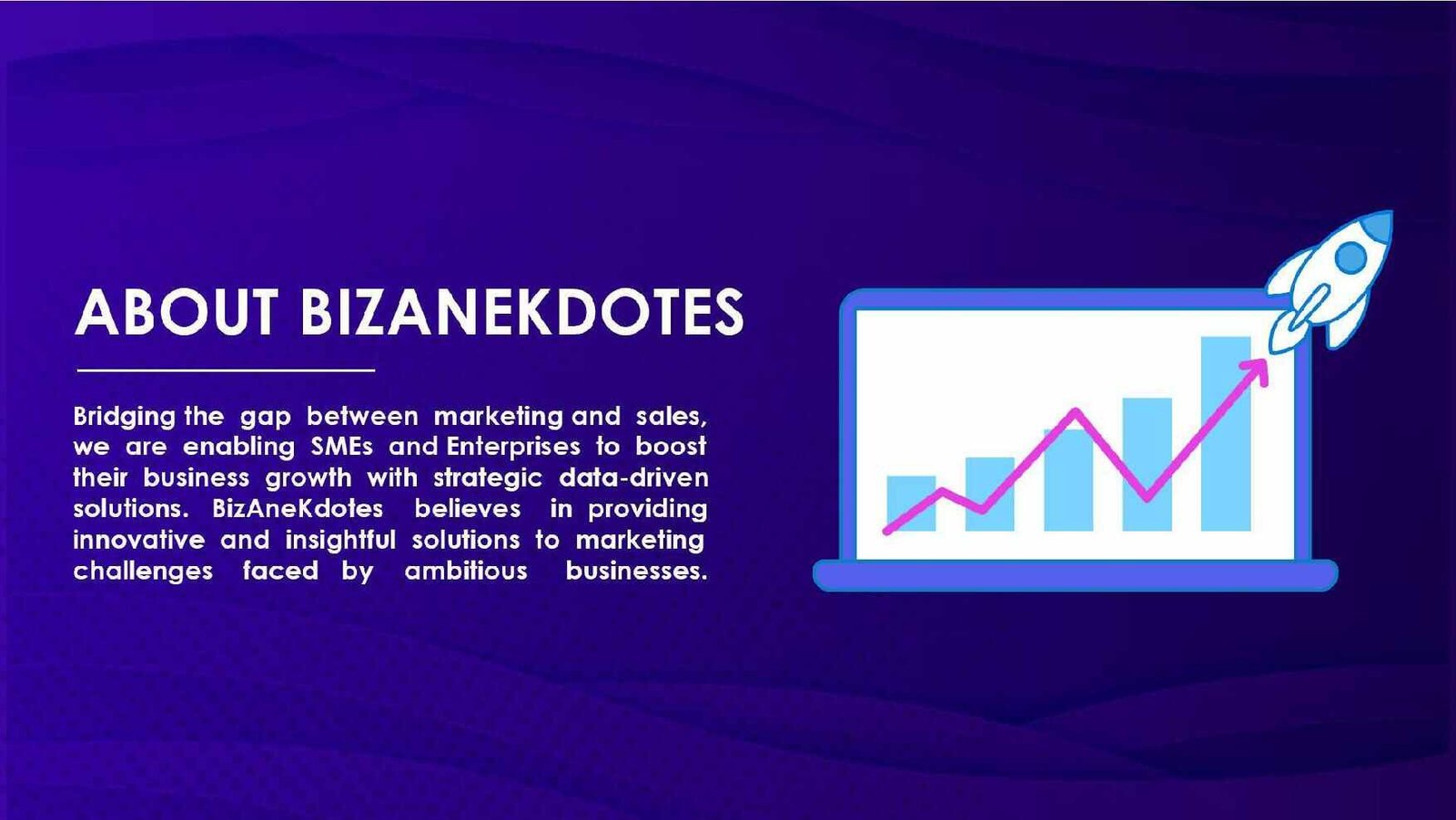 Company-Profile-for-BizAnekDotes-1 about